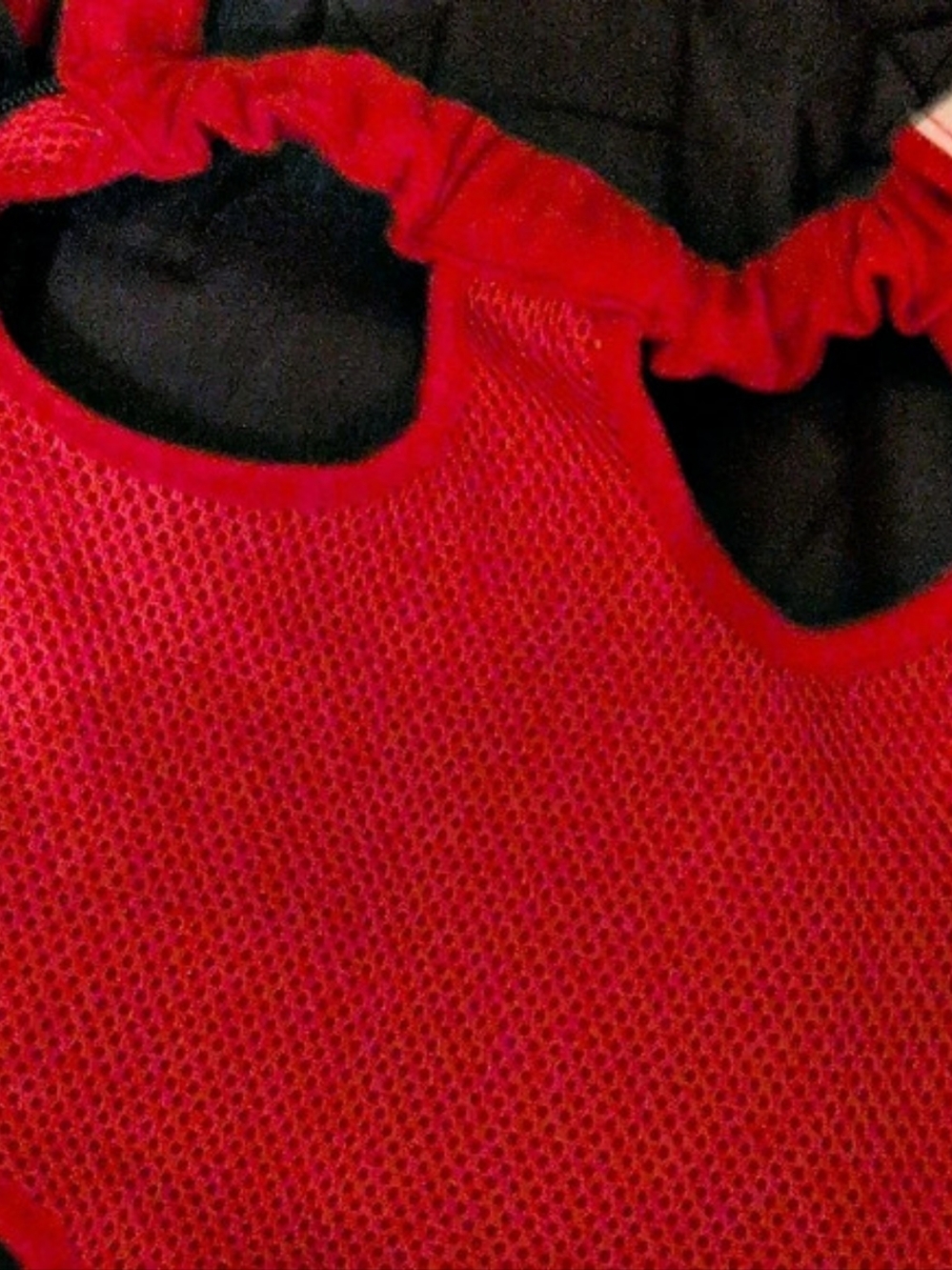 Red & Black Mesh Dog Carrier